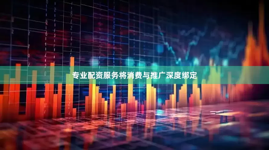 专业配资服务将消费与推广深度绑定